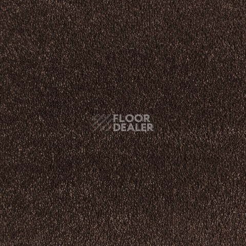 Ковролин  Brown фото 1 | FLOORDEALER